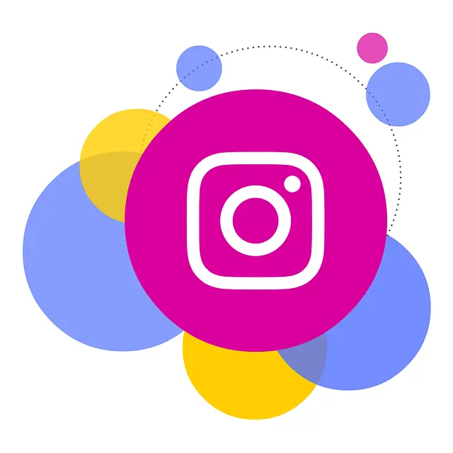 Inavii for elementor instagram feed insta icon